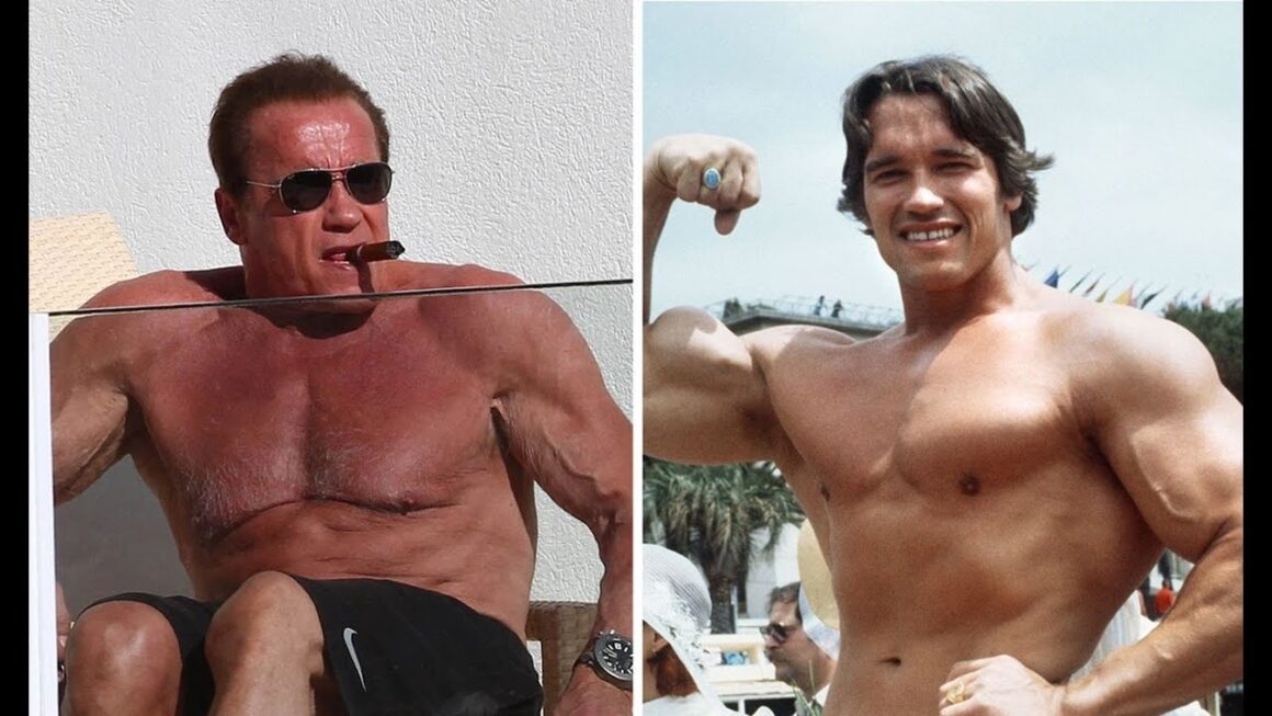 Arnold Schwarzenegger : un colosse du cinéma d'action