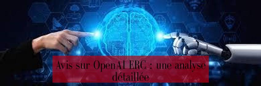 Avis sur OpenAI ERC : une analyse détaillée