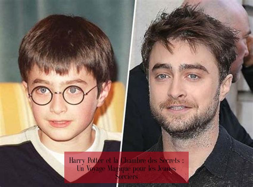 Harry Potter et la Chambre des Secrets : Un Voyage Magique pour les Jeunes Sorciers