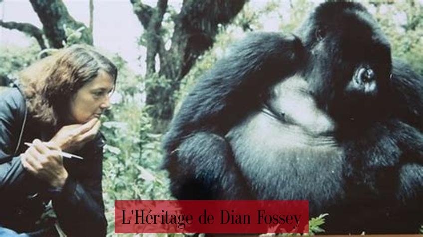 L'Héritage de Dian Fossey
