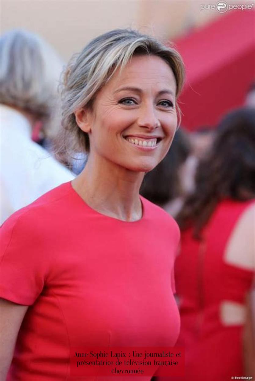 Anne-Sophie Lapix : Une journaliste et présentatrice de télévision française chevronnée