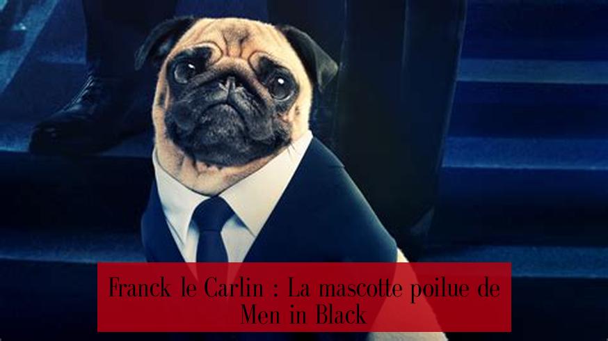 Franck le Carlin : La mascotte poilue de Men in Black