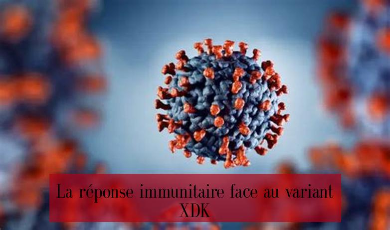 La réponse immunitaire face au variant XDK