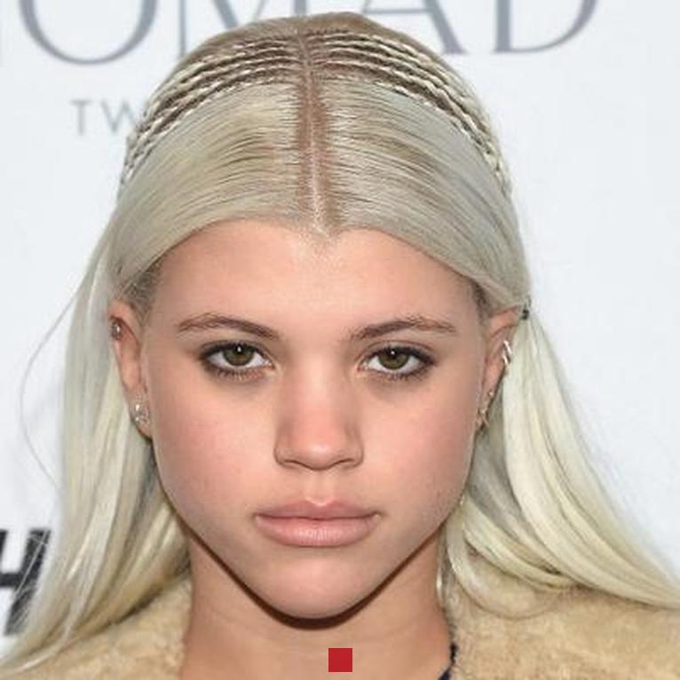 Fortune de Sofia Richie