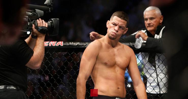 La valeur nette de Nate Diaz