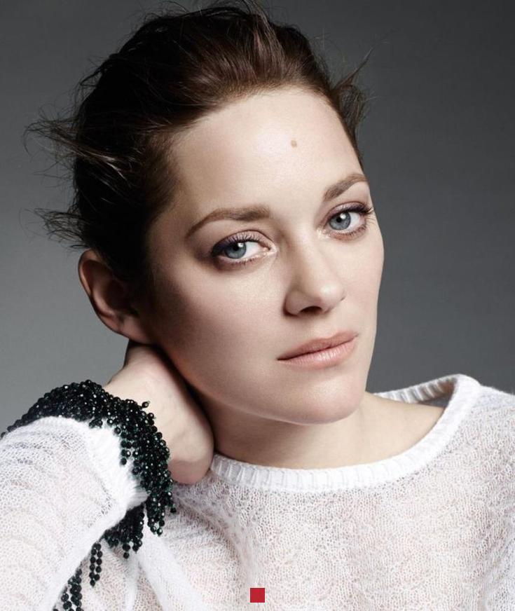 Valeur nette de Marion Cotillard