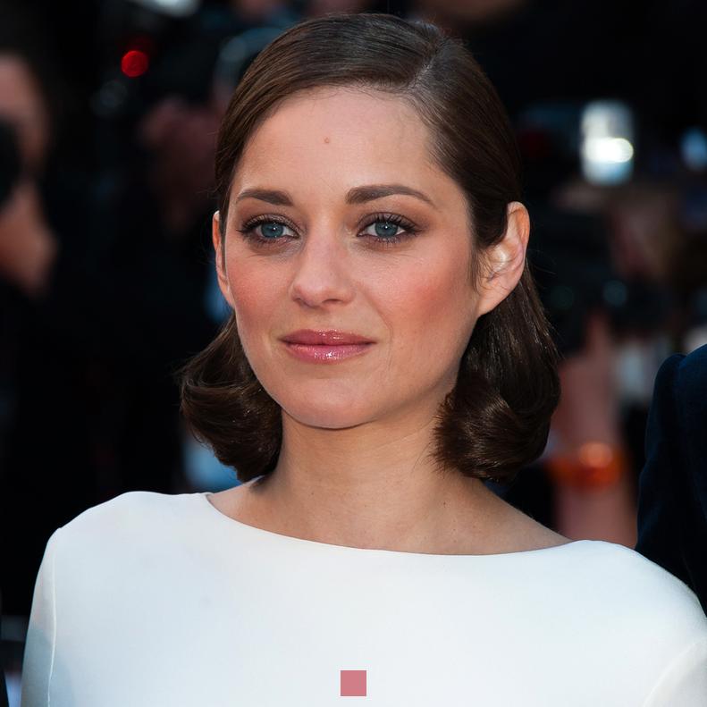 Valeur nette de Marion Cotillard