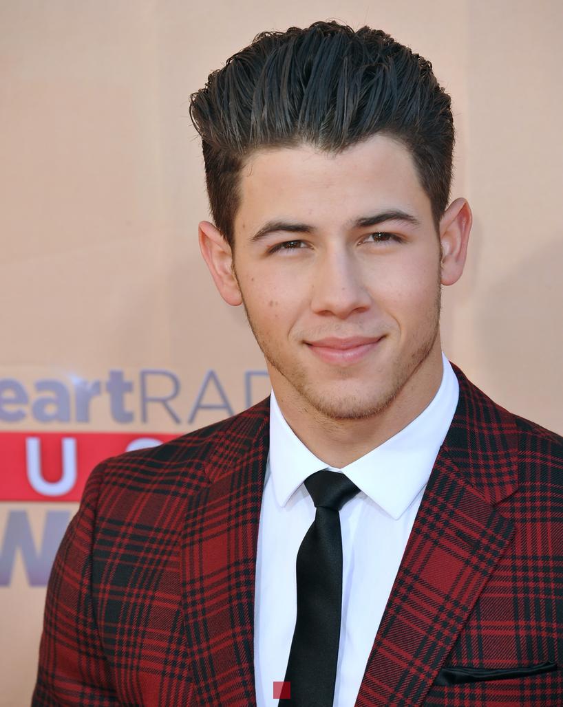 Nick Jonas Net Worth