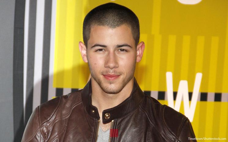 Nick Jonas Net Worth