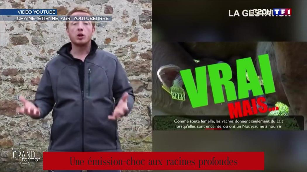 Une émission-choc aux racines profondes