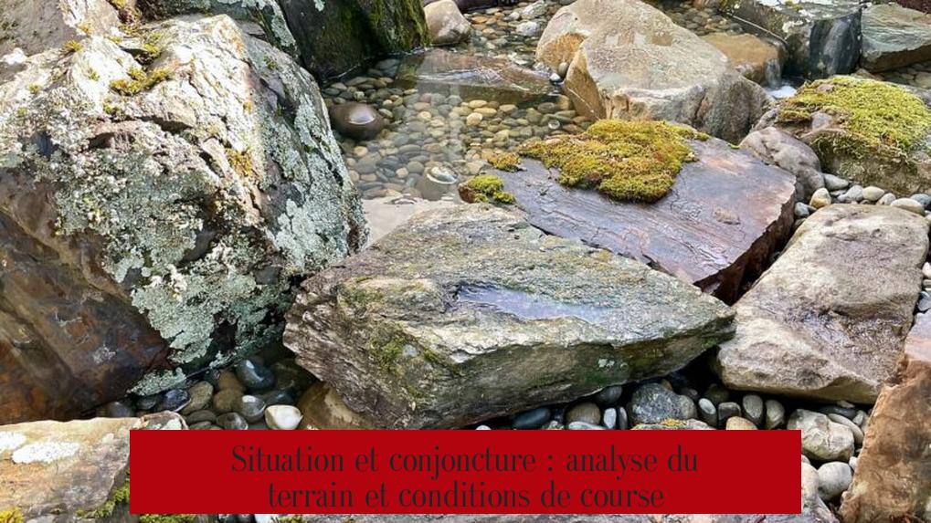 Situation et conjoncture : analyse du terrain et conditions de course