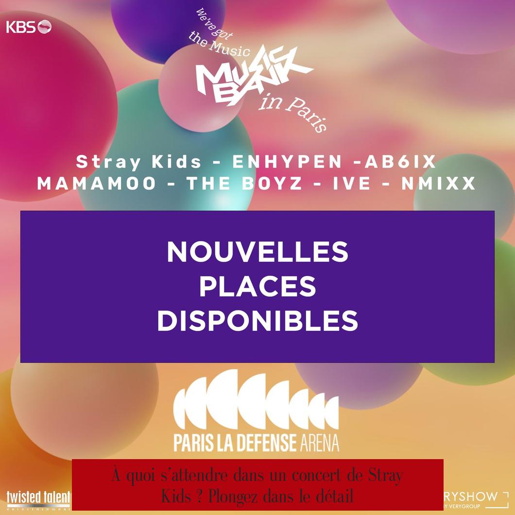 À quoi s’attendre dans un concert de Stray Kids ? Plongez dans le détail