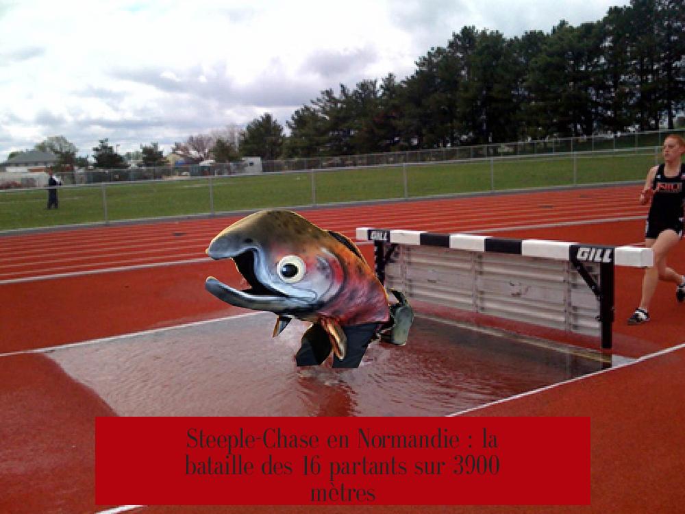 Steeple-Chase en Normandie : la bataille des 16 partants sur 3900 mètres