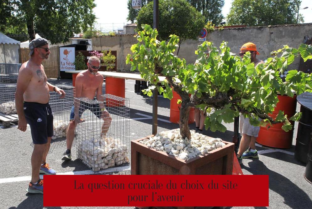 La question cruciale du choix du site pour l’avenir