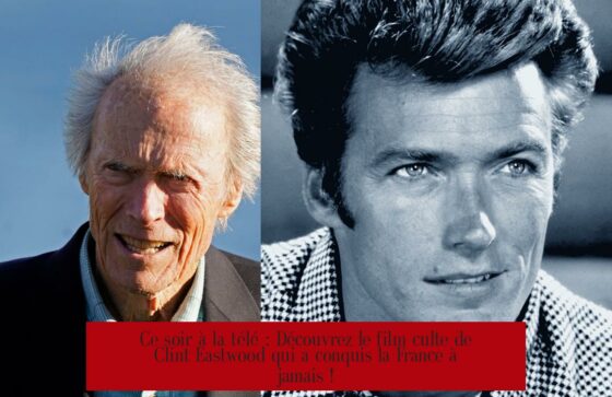 Ce soir à la télé : Découvrez le film culte de Clint Eastwood qui a conquis la France à jamais !