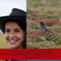 Lena Kersual, la Reine de Cornouaille, Réinvente l’Histoire des Femmes Agricoles en Bretagne