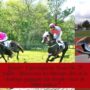 Quinté+ Clairefontaine-Deauville 28 juillet : Découvrez les chevaux clés et la stratégie gagnante du steeple-chase de 3900 mètres !